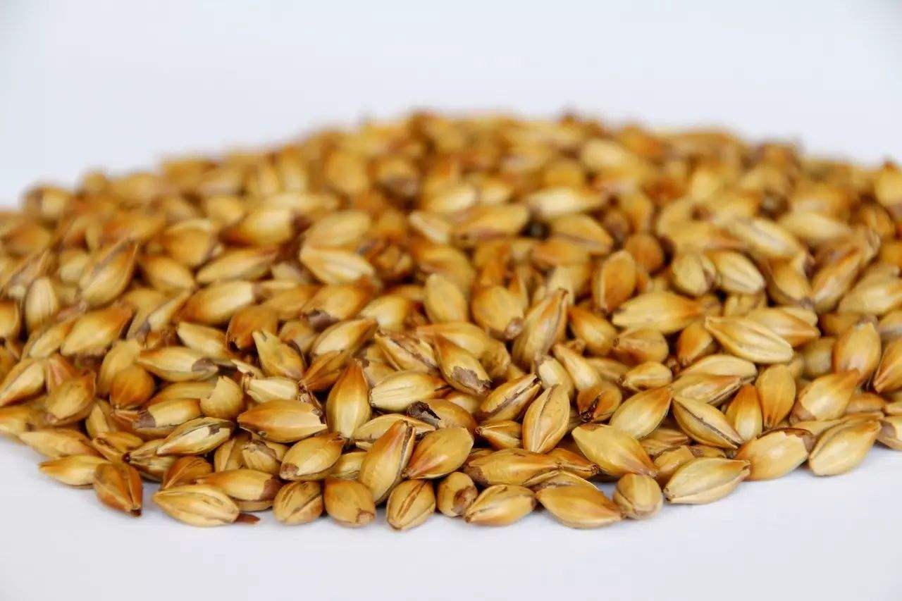 做精釀啤酒，如何選擇合適的粉碎機(jī)？