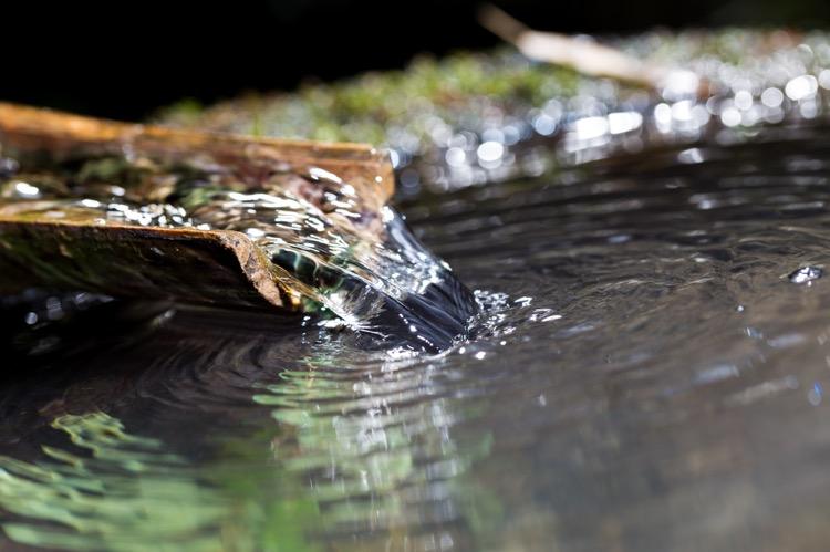 做精釀啤酒，如何處理釀造用水？