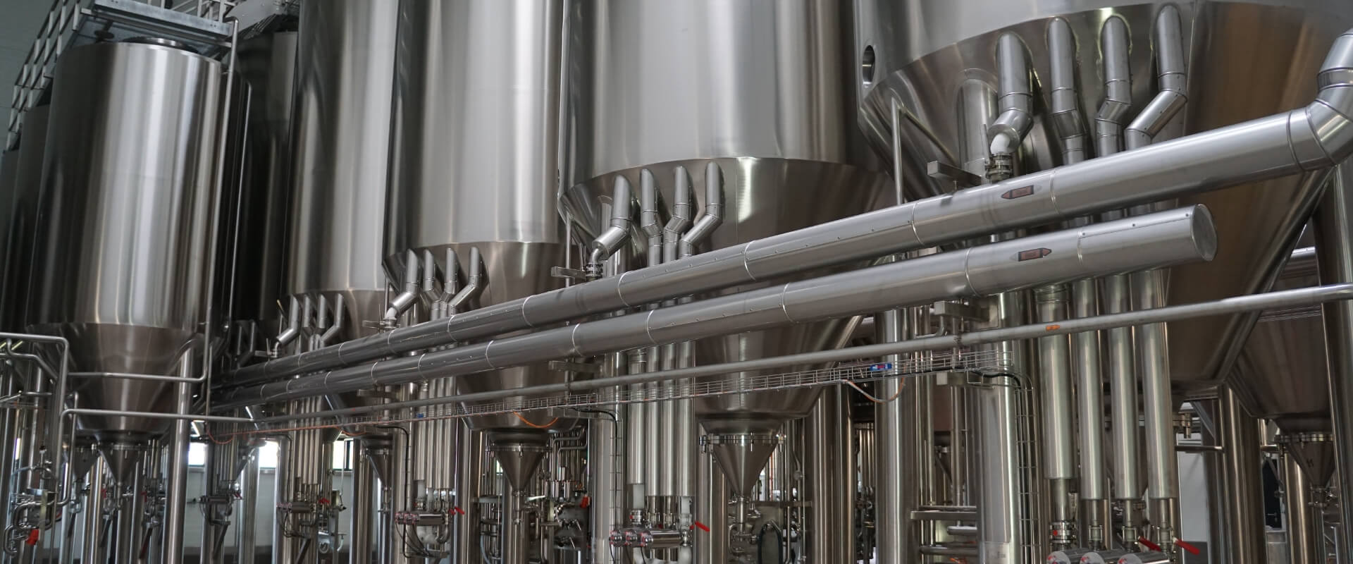 主發(fā)酵的工藝要點(diǎn)是什么？