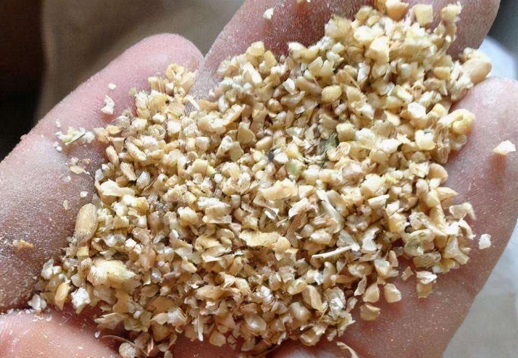 做精釀啤酒，如何更好地進(jìn)行麥芽粉碎呢？