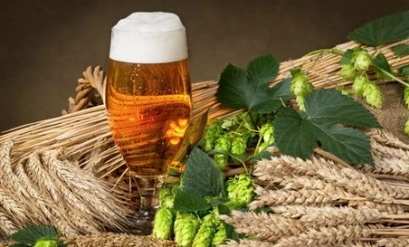 精釀啤酒中，如何選擇恰當(dāng)?shù)慕湻椒ǎ?> </a>
    </dt> 
    <dd> 
     <h4><a href=