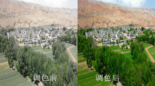 微信截圖_20210827151753.png